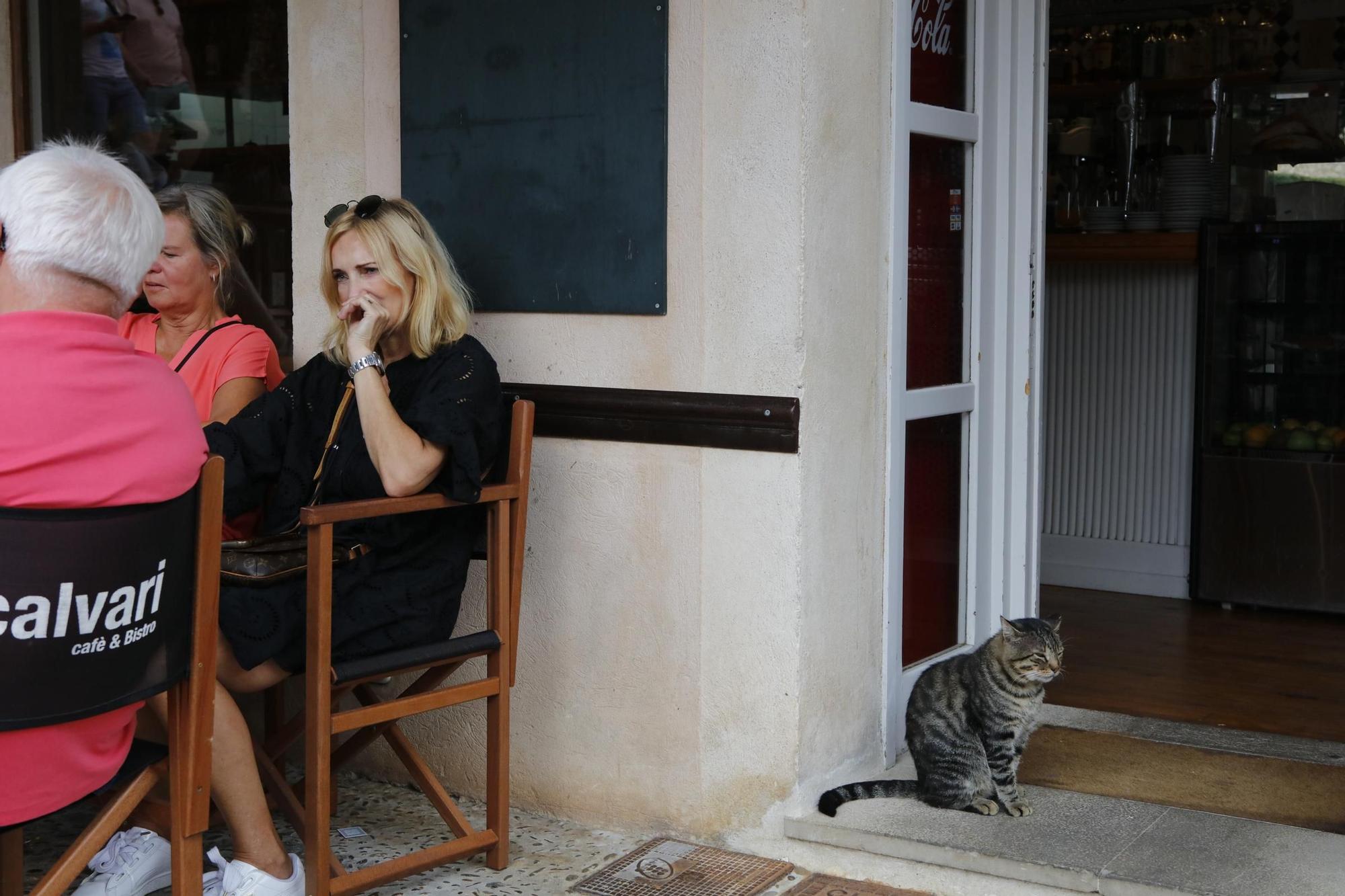 Auch bei Regen auf Mallorca einen Besuch wert: Pollença ist Mitte September voller Leben