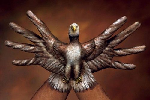 Aguila calva.jpg