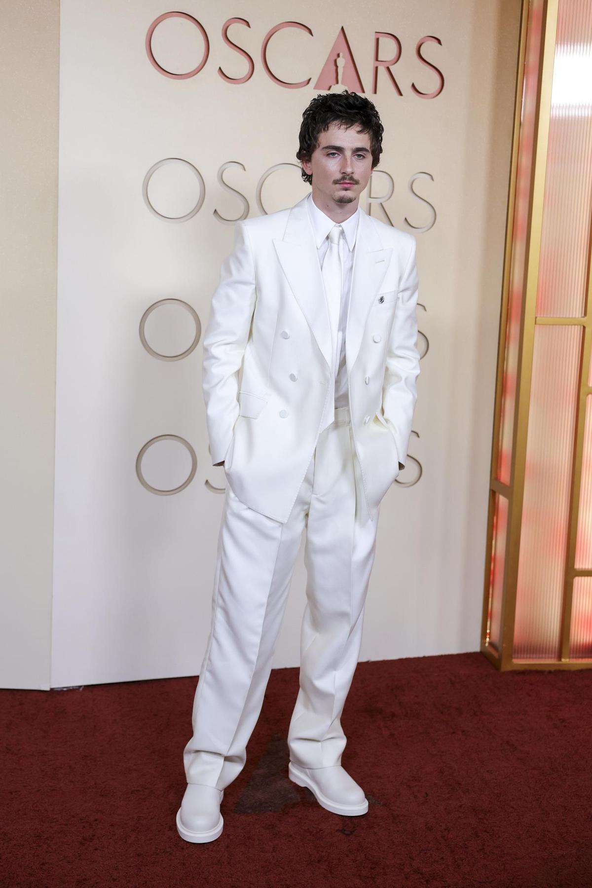 Timothee Chalamet, a su llegada a la alfombra roja.