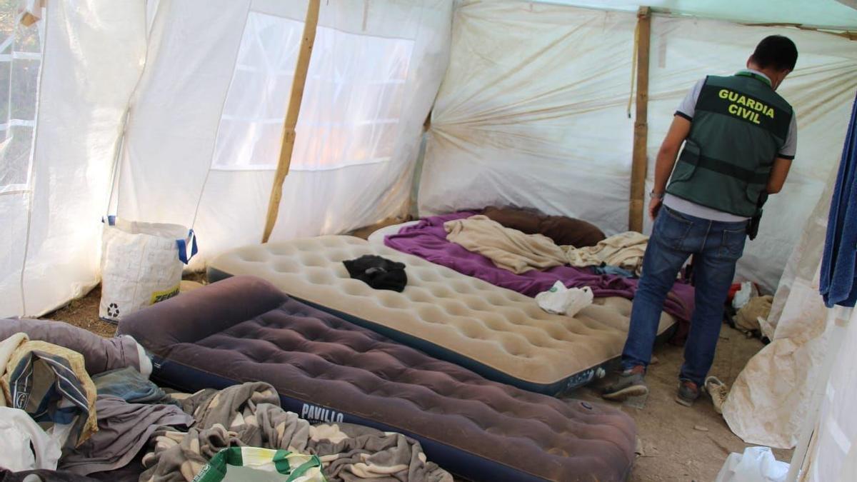 Campamento en el que dormían cuatro albaneses en una plantación de marihuana.