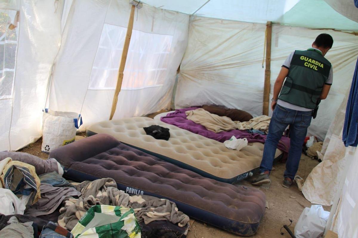 Campamento en el que dormían cuatro albaneses en una plantación de marihuana.