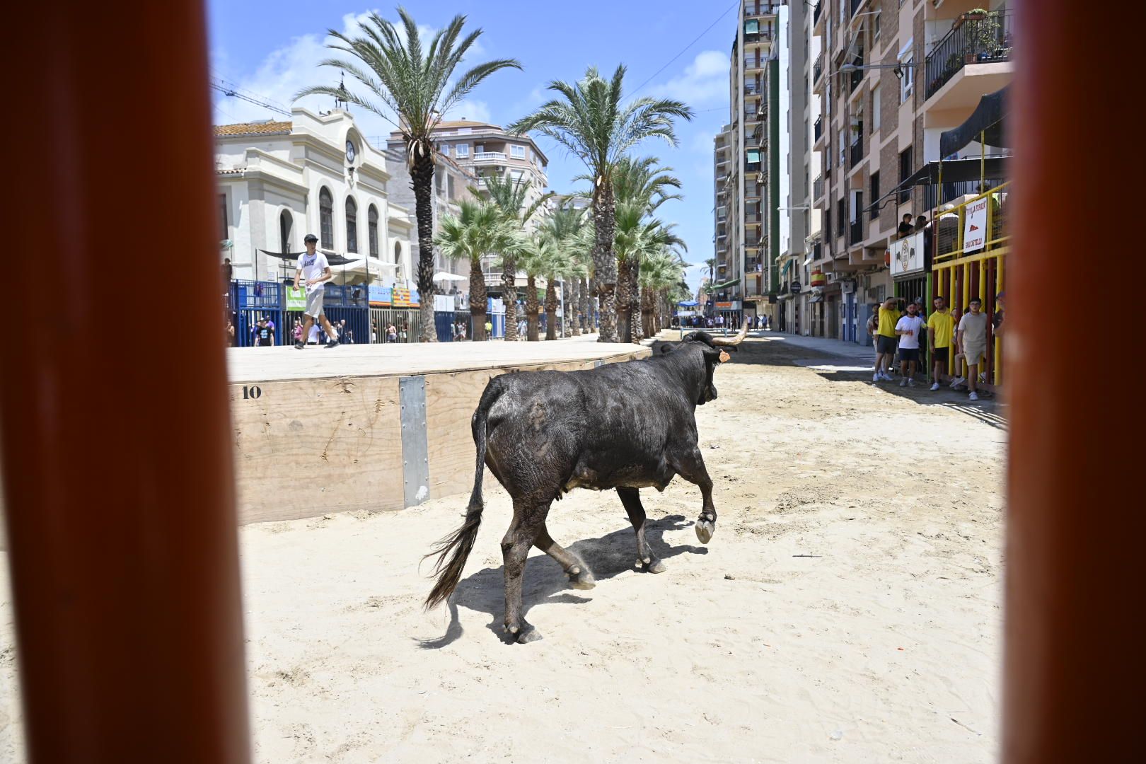 Martes de tradición, toros y fiesta en el Grau por Sant Pere