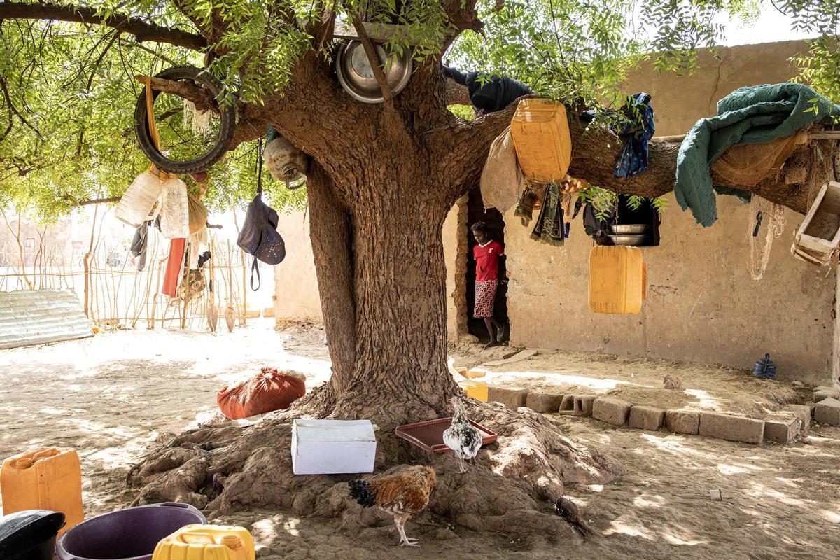 Calor extremo en la región de Matam, en el noroeste de Senegal