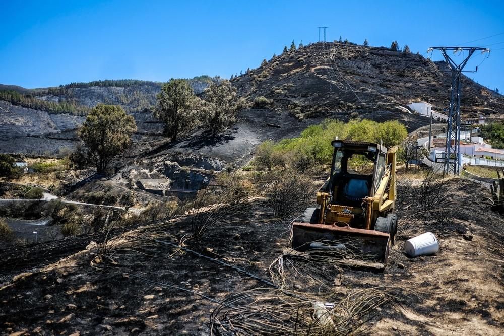 Incendio en Gran Canaria | Zonas afectadas en las medianías de Gáldar y en Artenara