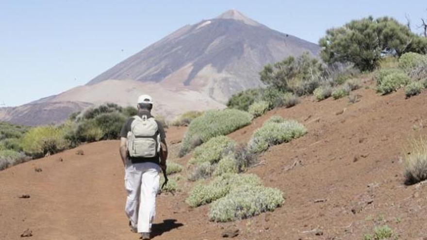 Detenidos por robar a turistas en varios miradores de las Cañadas del Teide