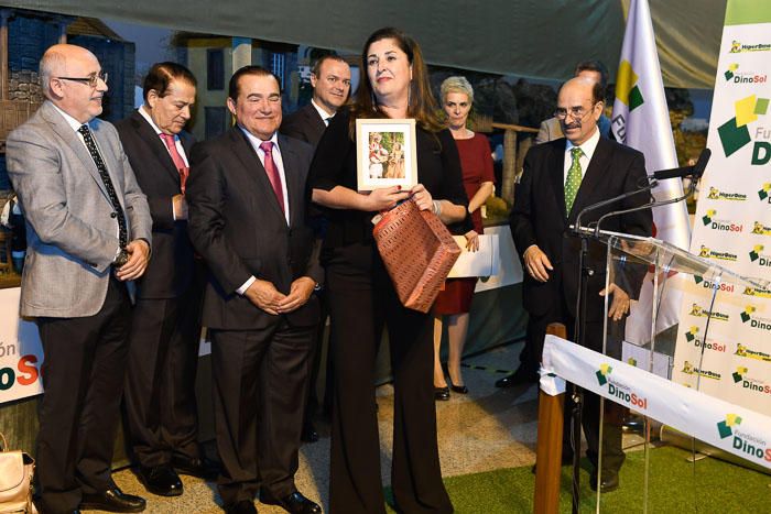 INAUGURACION BELEN HIPERDINO DE MILLAR