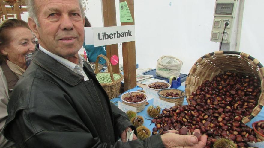 Arriondas promociona la castaña, gran recurso natural