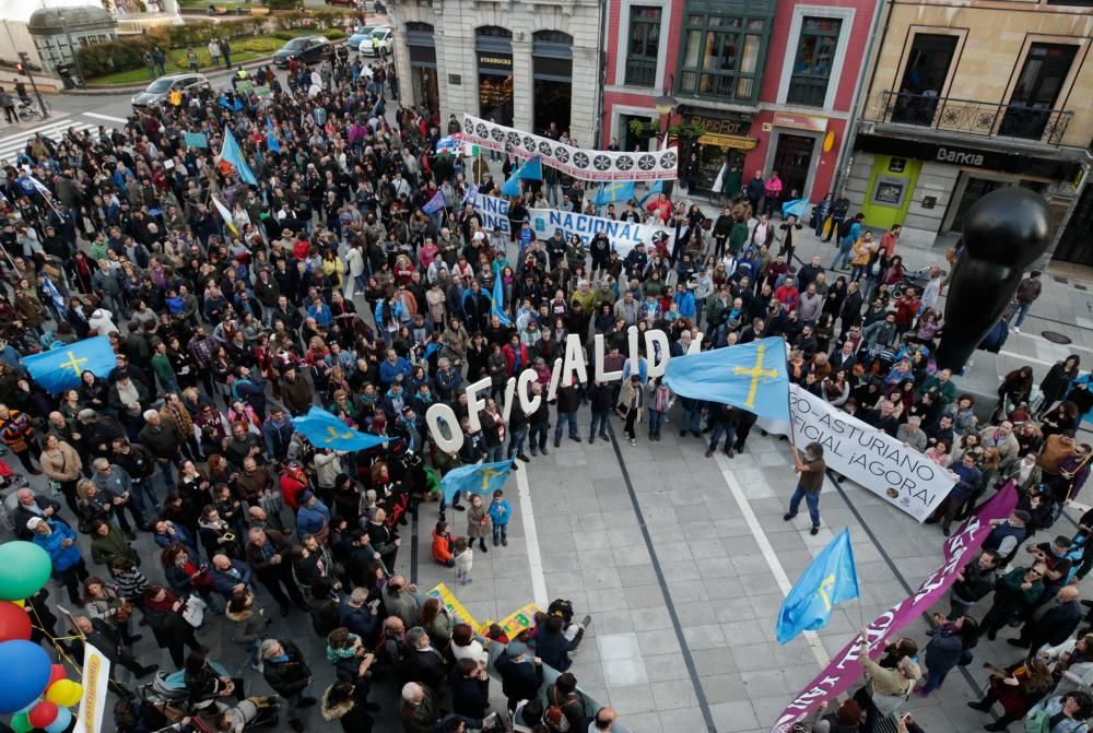 Manifestación por la Oficialidad en Oviedo