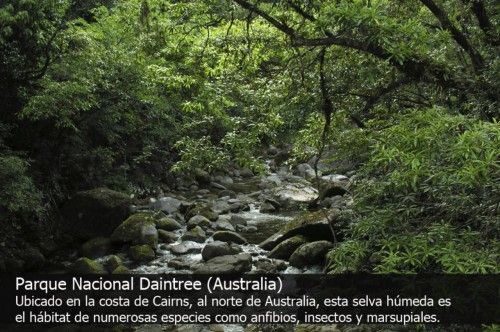 Los 10 bosques con más encanto del mundo