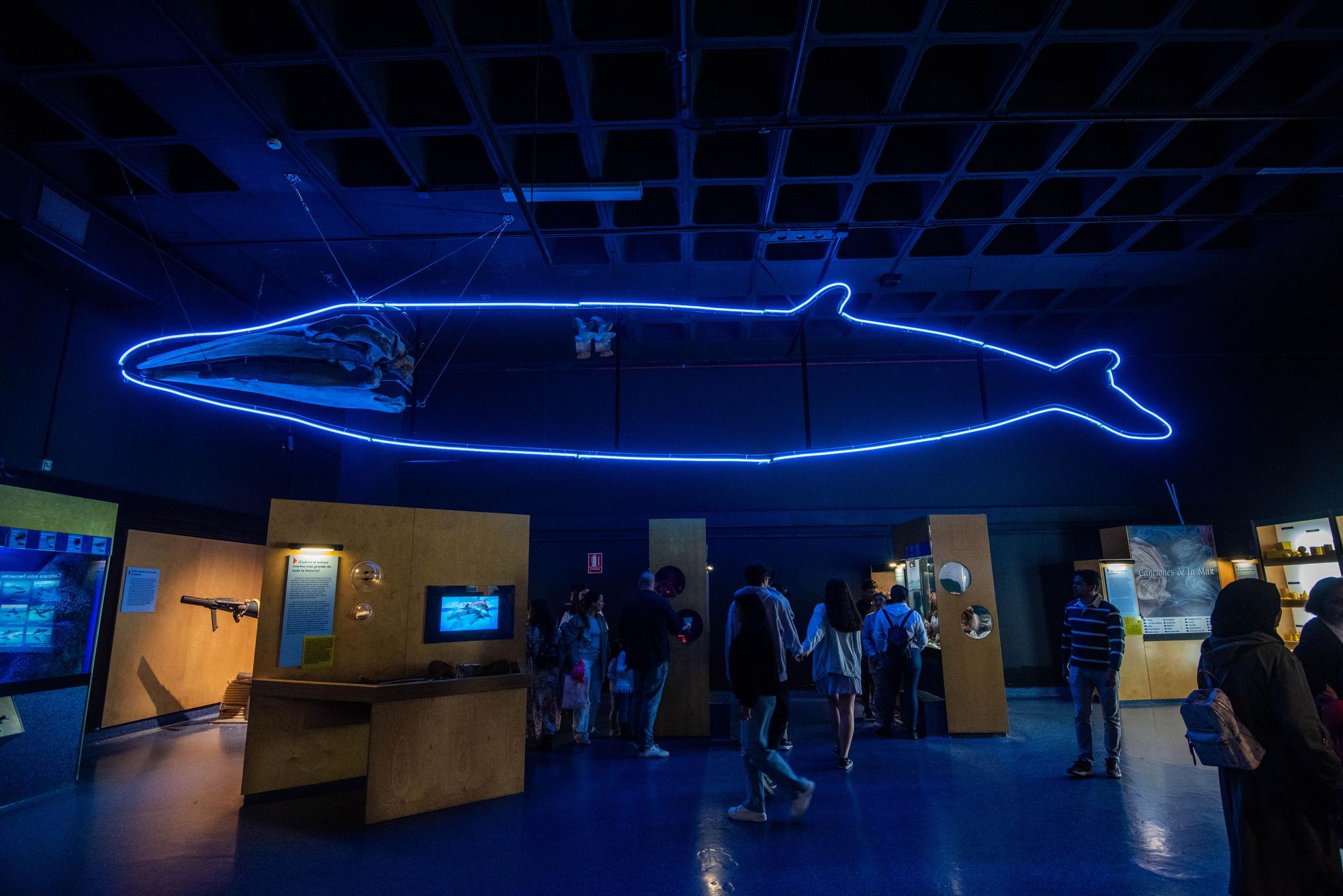 Día de los Museos en A Coruña