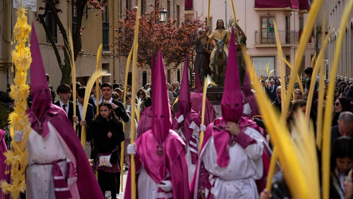 La procesión de La Borriquita este Domingo de Ramos en Zamora, en tres minutos