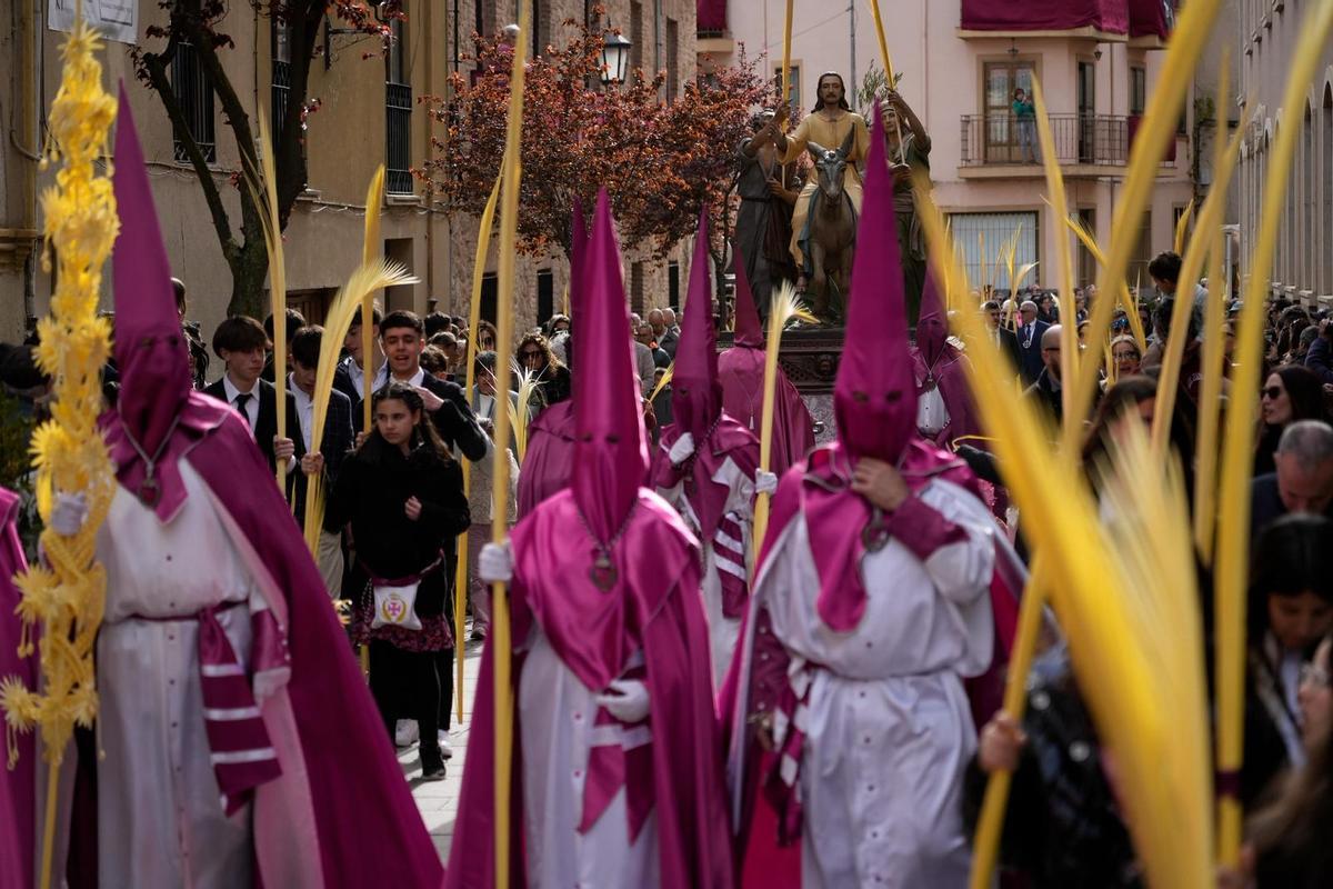 La Procesión de La Borriquita en Zamora, en imágenes La Procesión de La Borriquita en Zamora, en imágenes