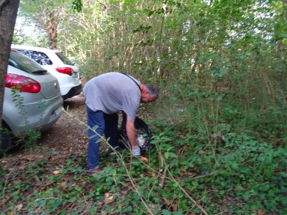 Neteja del bosc de Can Salvatella