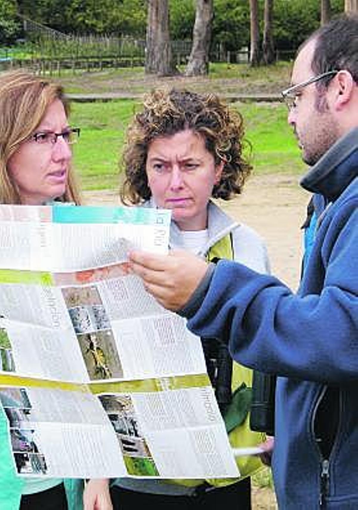Atentos al chorlito