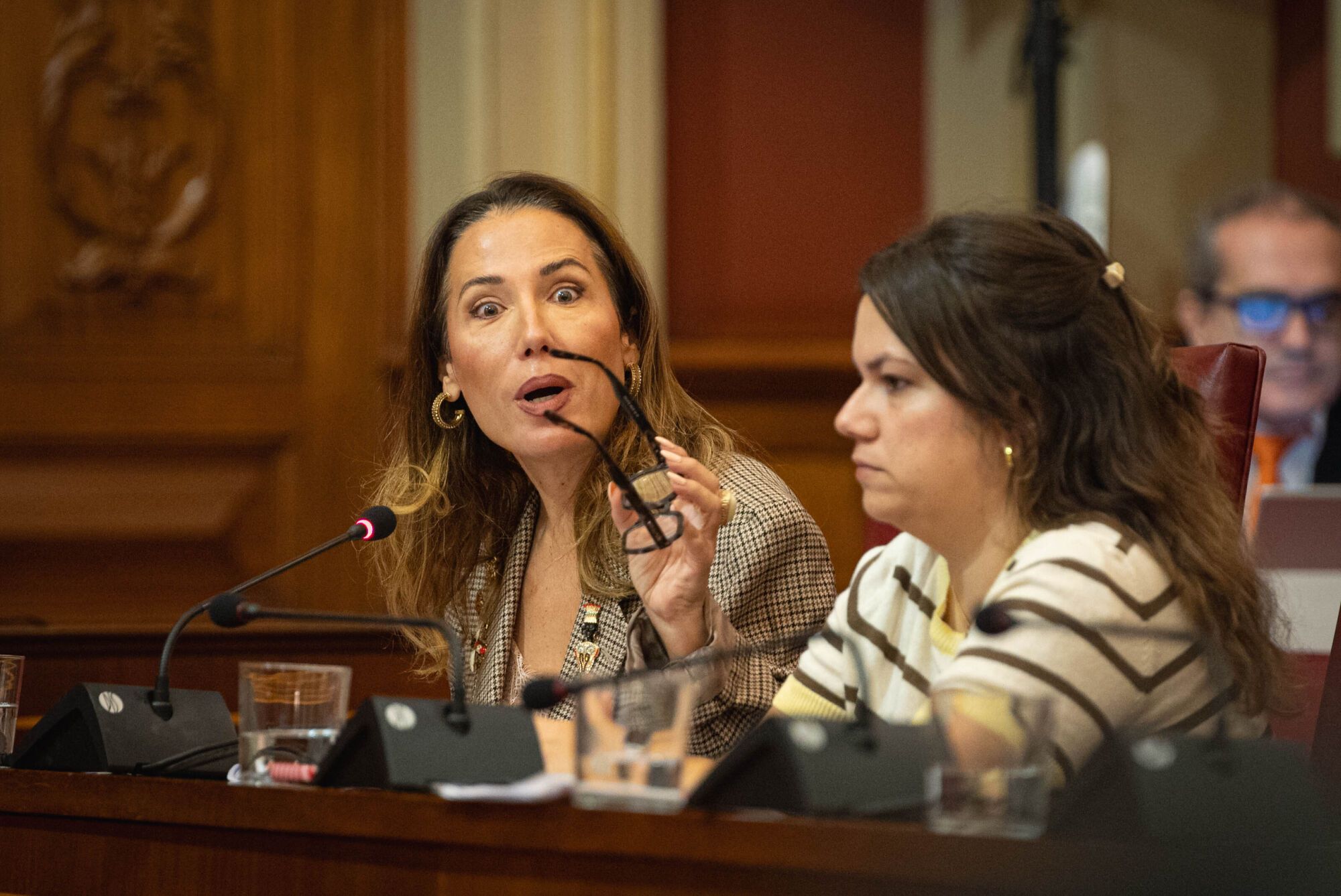 Pleno del Ayuntamiento de Santa Cruz