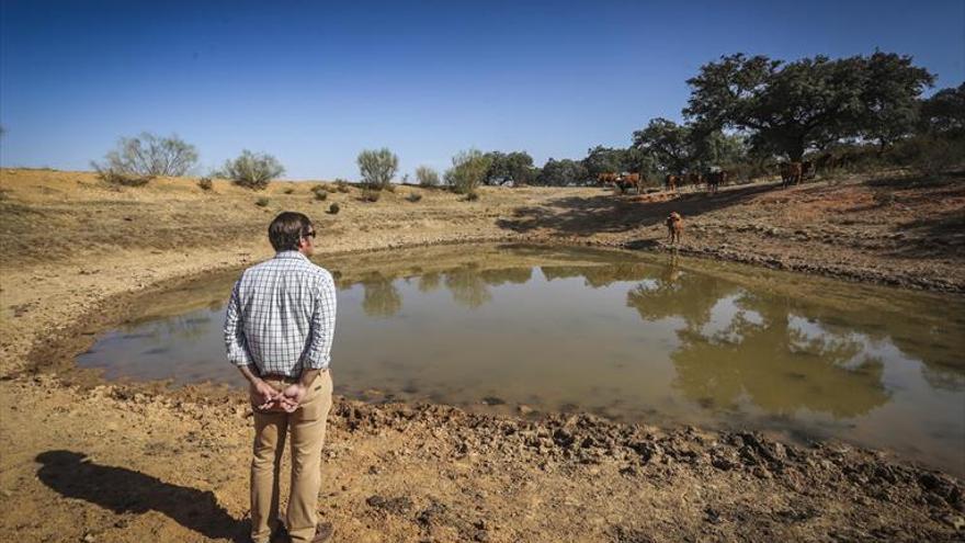 La sequía ya obliga a restricciones y cortes de agua en varios municipios