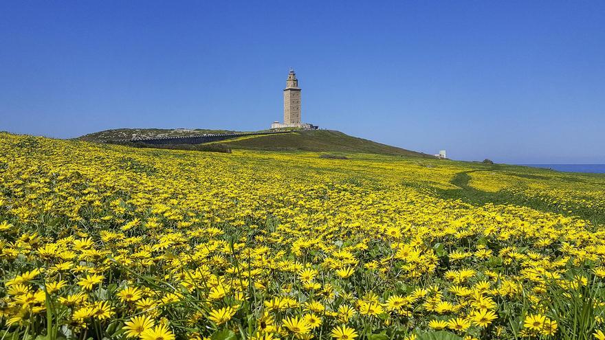 Las fotografías de A Coruña que ilustran el calendario municipal de 2025