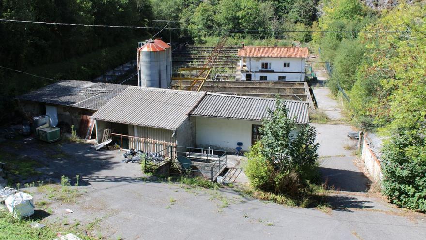 Cadasa iniciará en enero la demolición de la antigua piscifactoría de Rioseco para ampliar la &quot;fuente de Asturias&quot;