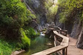 El espacio natural protegido perfecto para visitar en octubre tiene cañones de roca caliza y madroños con frutos rojos maduros