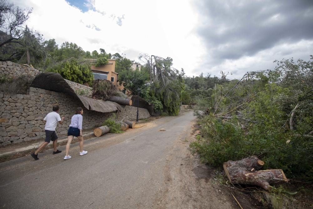 Baleares pedirá declarar zona catastrófica las áreas de Mallorca afectadas por el temporal del sábado