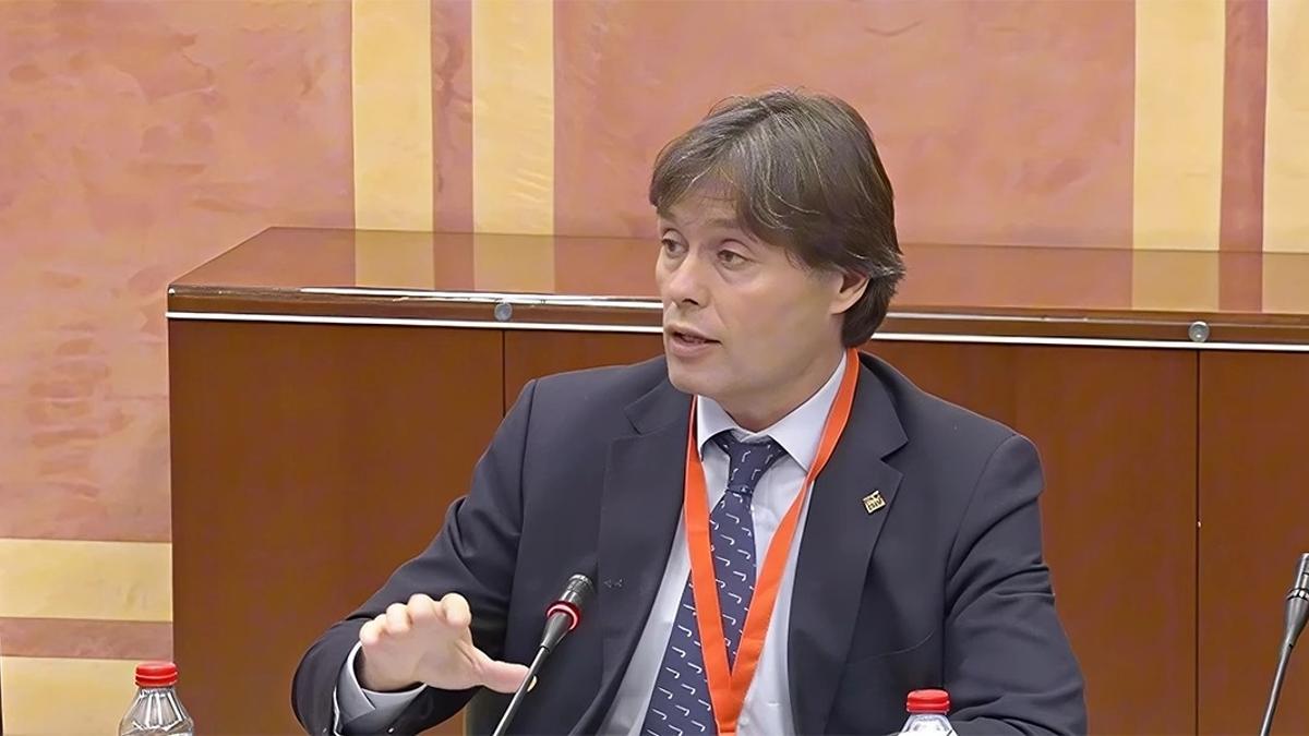 Paco Oliva, portavoz de las Universidades Públicas de Andalucía, en su comparecencia en el Parlamento autonómico.