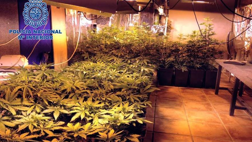 Desmantelado un punto de venta de marihuana con ocho detenidos