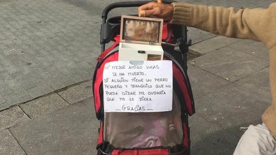 La conmovedora historia del mendigo gijonés que busca un perro como compañero de vida