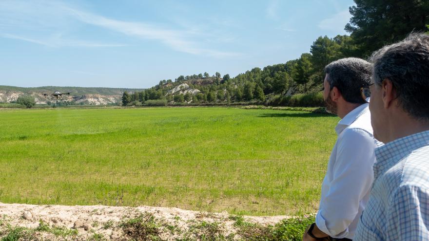 El sistema de fumigación por dron se implanta en el coto arrocero de Calasparra