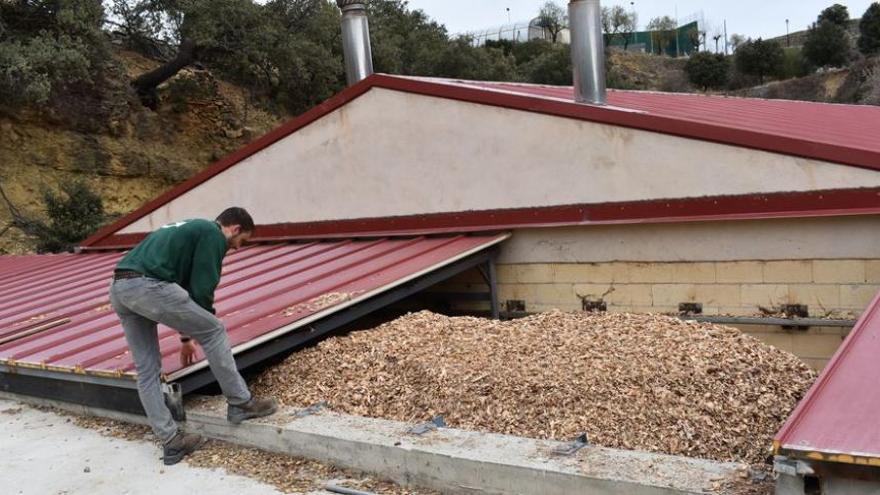 El uso de biomasa en la Todolella genera un ahorro a los vecinos del 40% en calefacción