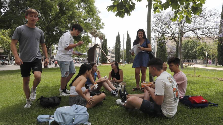 La UPV prepara su primera carrera con formación dual orientada a la industria textil