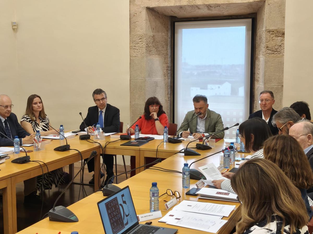 Diez, presidiendo el pleno de la AVL.