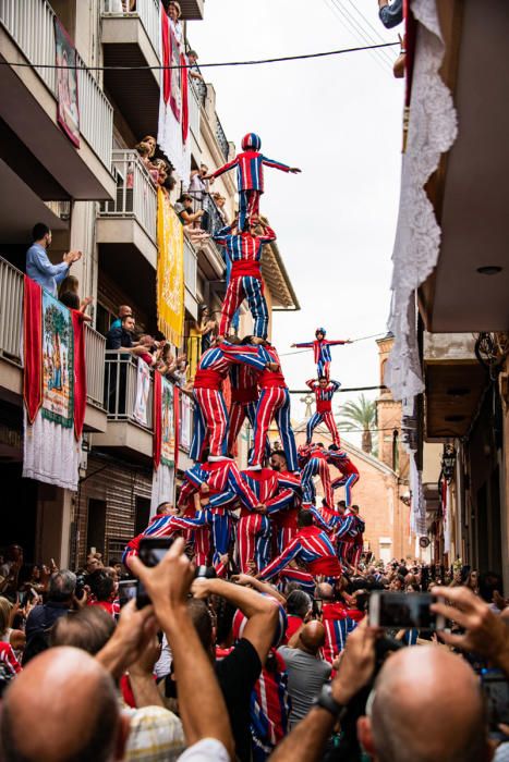 Festes de la Mare de Déu de la Salut de Algemesí