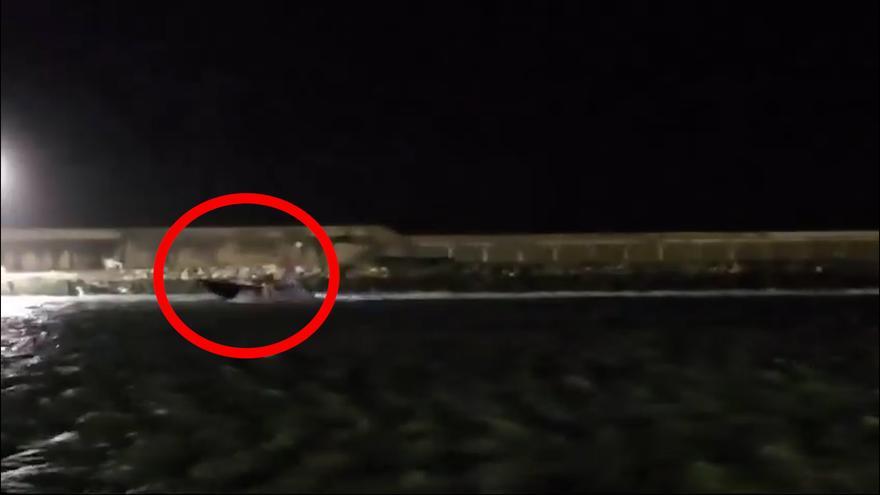 Este es el momento en el que una narcolancha arrolla en Barbate a una embarcación de la Guardia Civil y mata a dos agentes