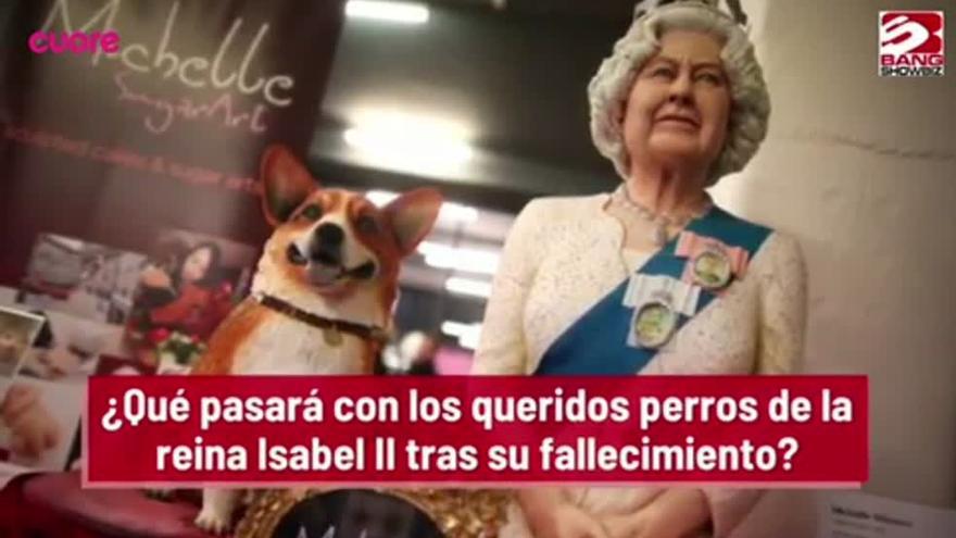 Los perros de Isabel II: qué pasa con los corgis