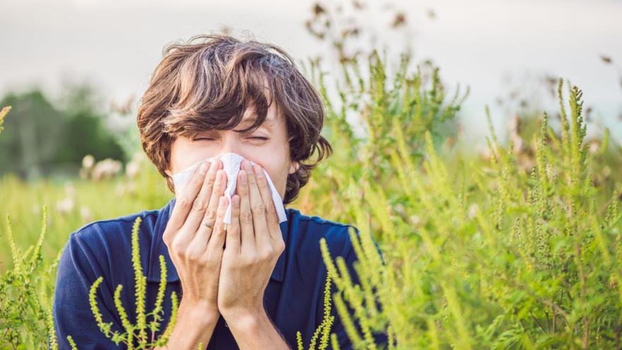 Cómo tratar la alergia al polen en una primavera intensa