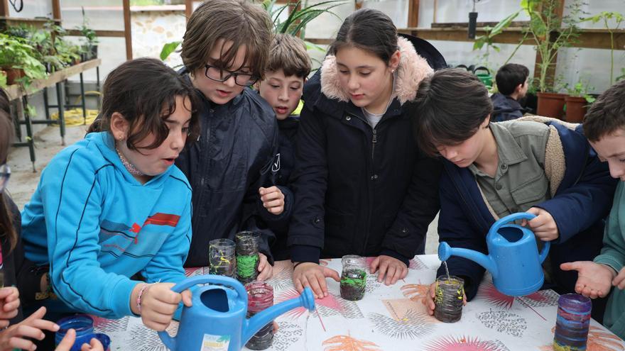Más de 5.400 niños optaron a plaza en los campamentos municipales