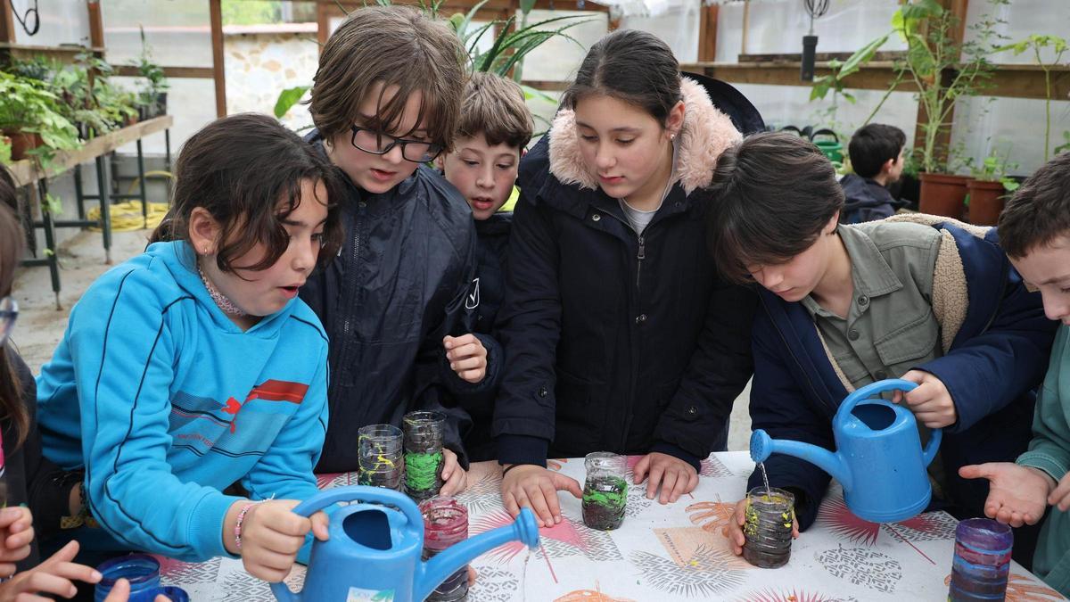 Niños y niñas participantes en el campamento de Vigo Nature, esta Semana Santa.