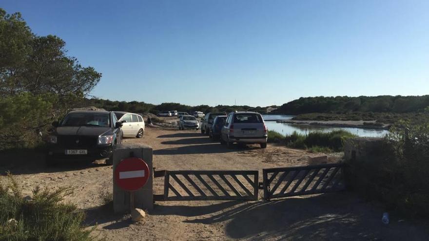 Descontrol de coches en es Trenc