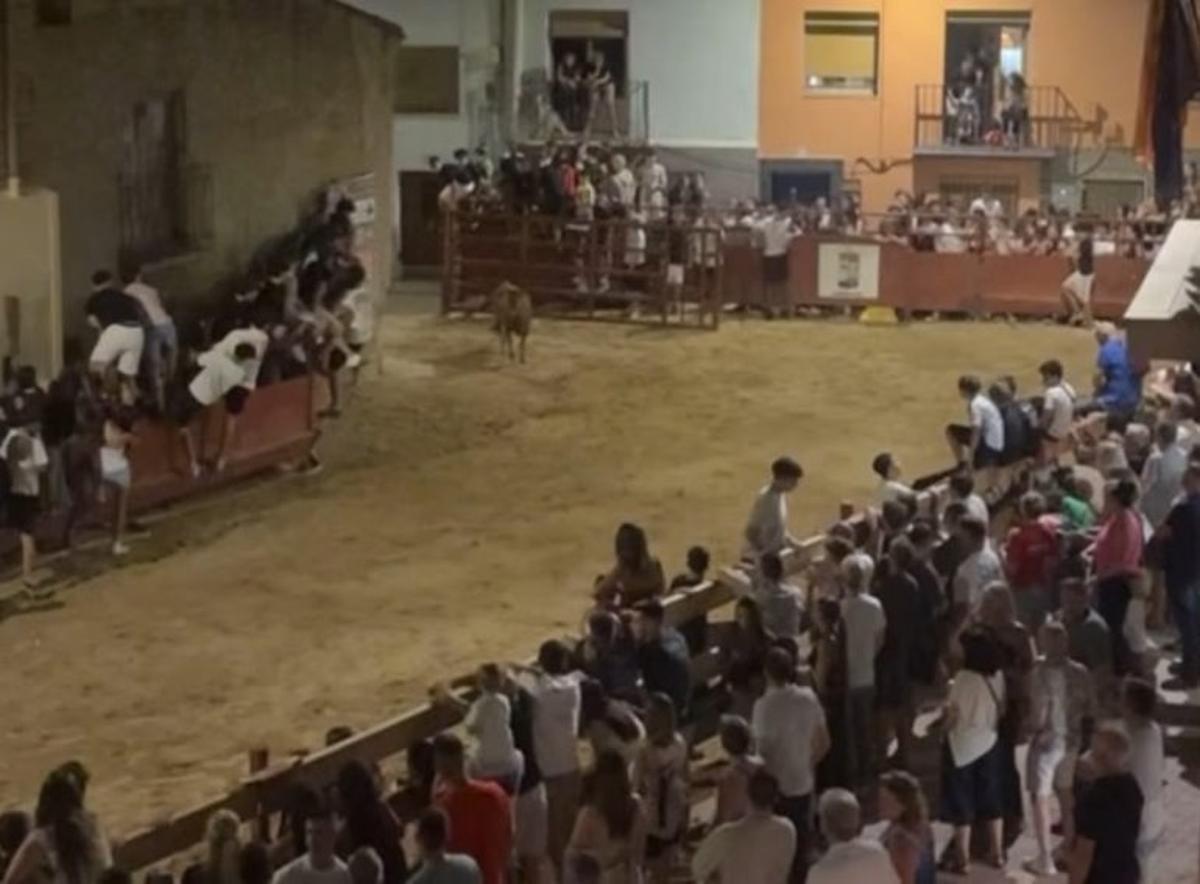 Los actos taurinos protagonizaron un amplio programa. | SERVICIO ESPECIAL