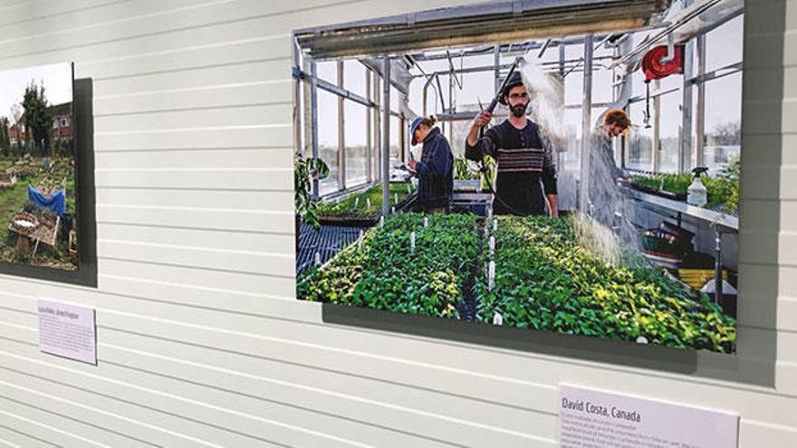 El CEU en Elche acoge una exposición de Manos Unidas sobre el cambio climático