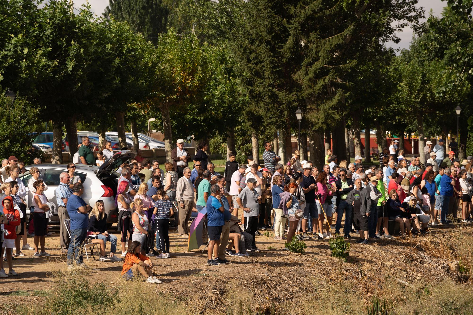 GALERÍA | Encierro mixto en Fuentelapeña