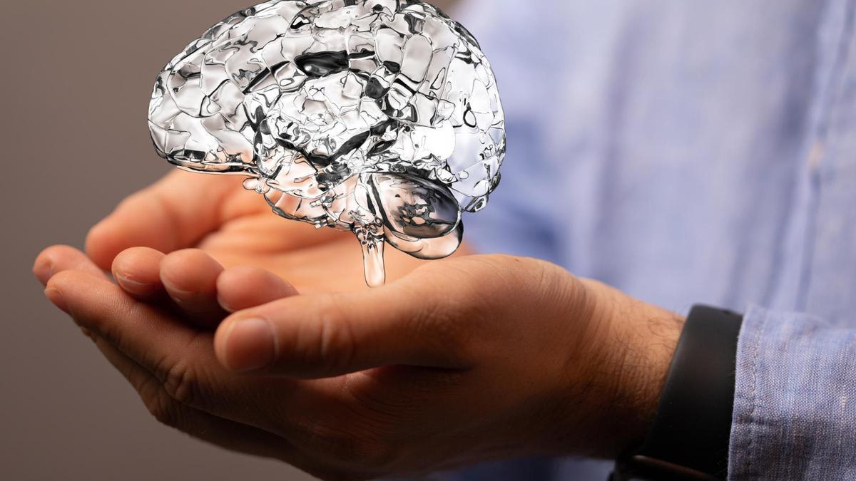 Esto es lo que debes comer si quieres mejorar tu memoria: "Es lo mejor que puedes hacer por tu cerebro"