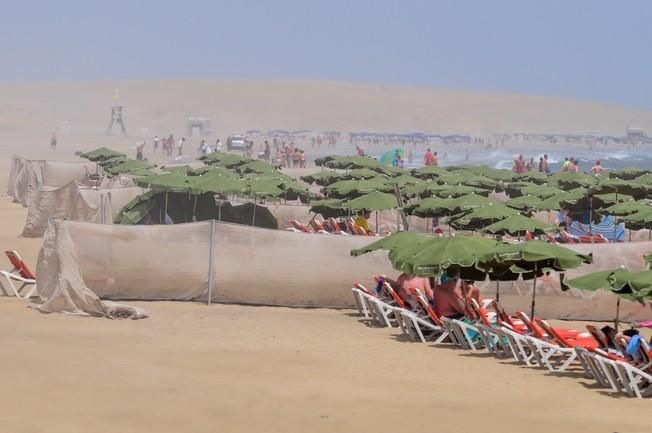 Reportaje excursiones con camellos en las Dunas ...