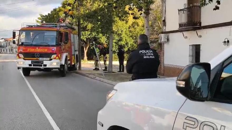 El viento tira unos 300 metros de tendido eléctrico en Churriana
