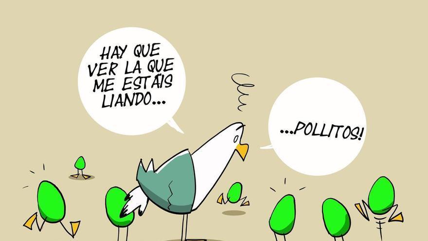 La Rendija de Sabiote (22/05/2026)