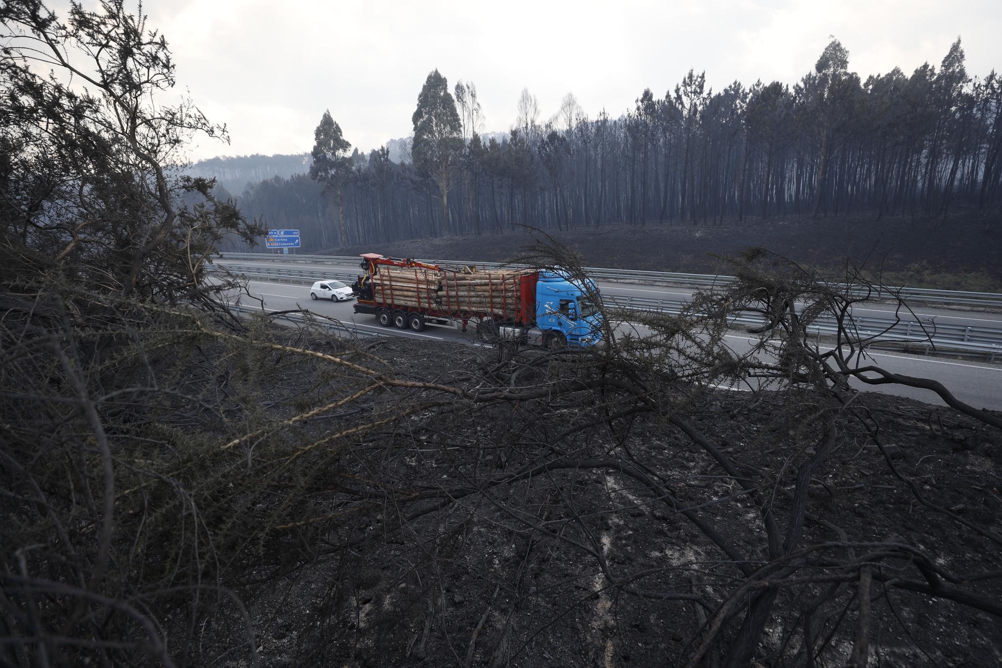 EN IMÁGENES: Gran oleada de incendios en Asturias