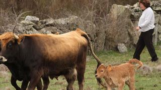 Perspectiva de género en la nueva PAC para acabar con el “envejecido y masculinizado” mundo rural