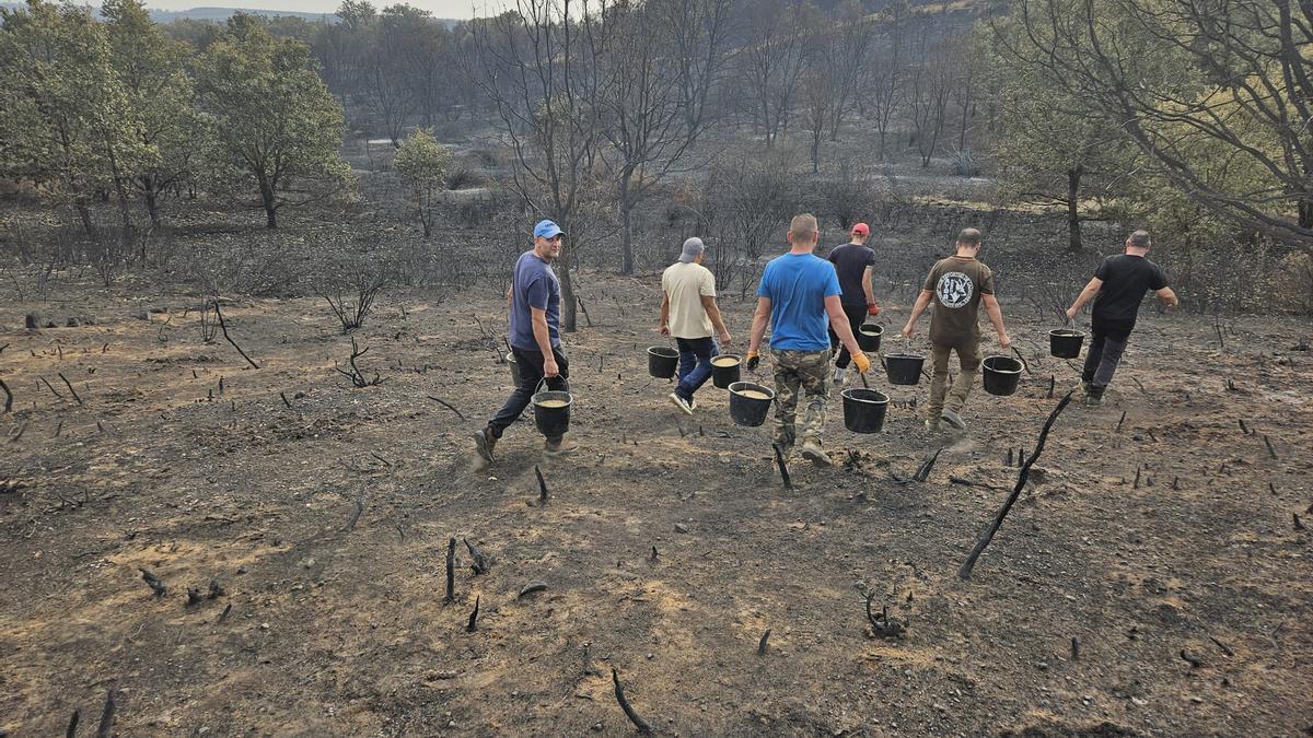 Voluntarios cargados con cubos con tacos de pienso para alimentar a la fauna silvestre en los terrenos afectados pro el fuego en la provincia de Zamora.