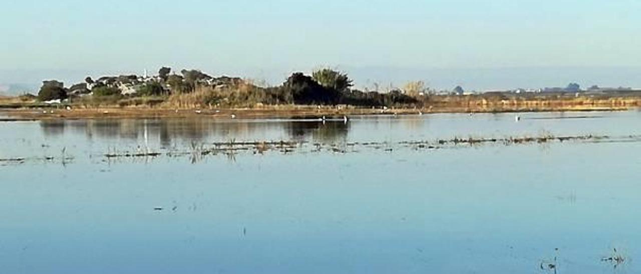 Sueca inicia las tiradas sin haber podido llenar el coto al quedar paja por quemar