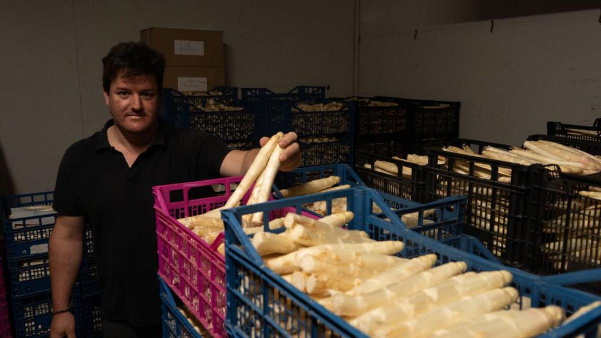Ángel Corrales muestra cajas de espárragos preparados para empaquetar